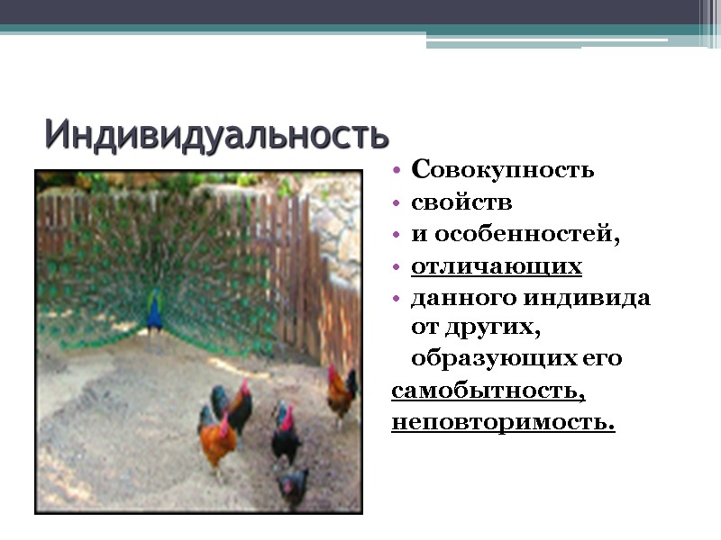 Индивидуальность     Совокупность  свойств  и особенностей, отличающих  данного